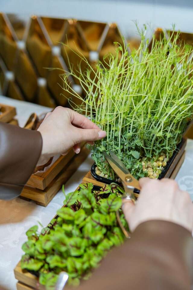 Гостиница Кристэлла Пятигорск-26